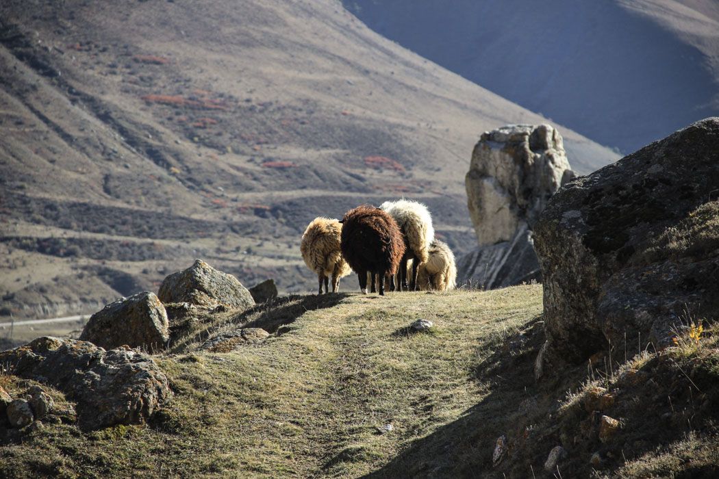 Походы для новичков на Кавказе. 10 путешествий (35/71)