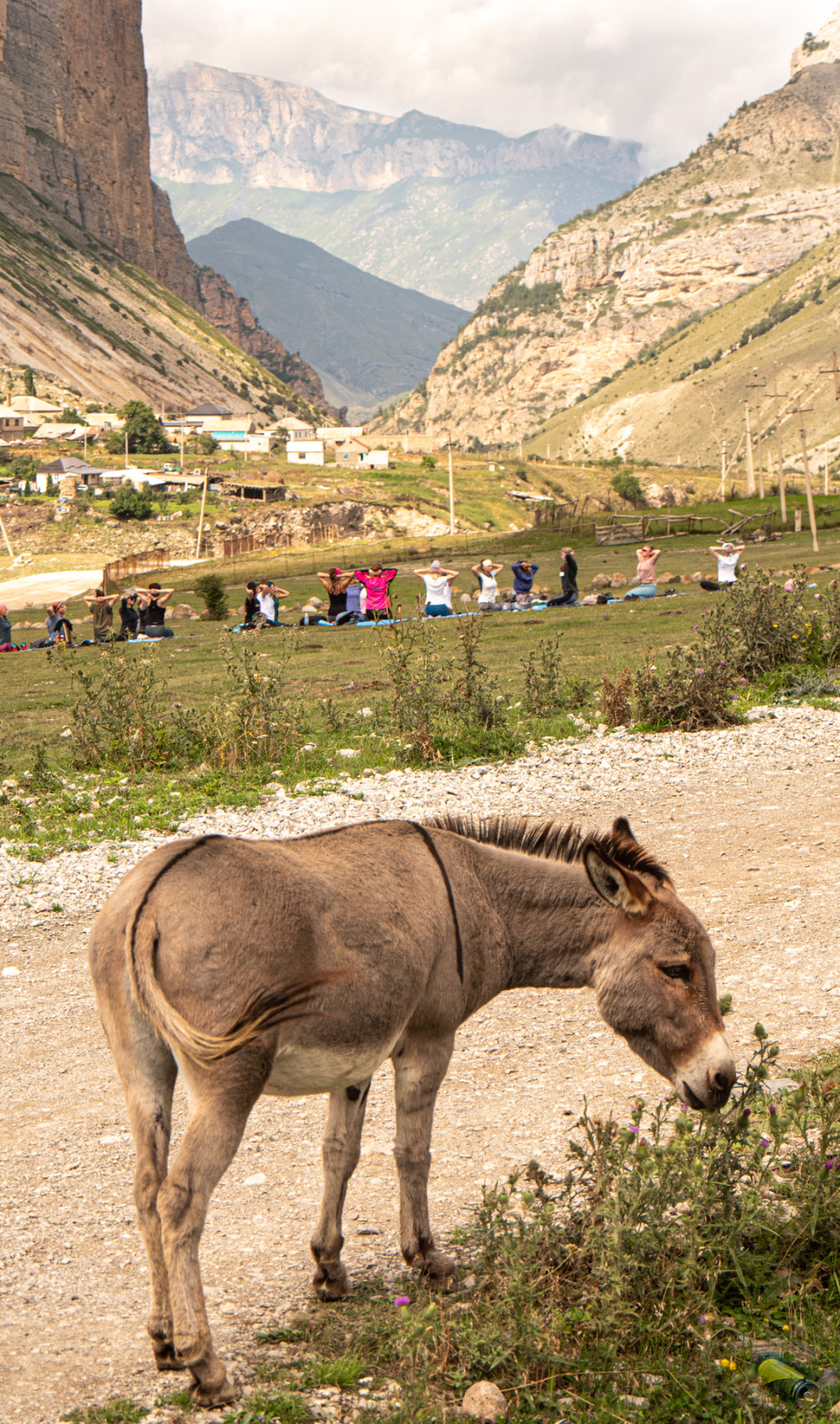 Йога для новичков в уединенных горах Кавказа. Походы без рюкзаков в комфорте (77/103)