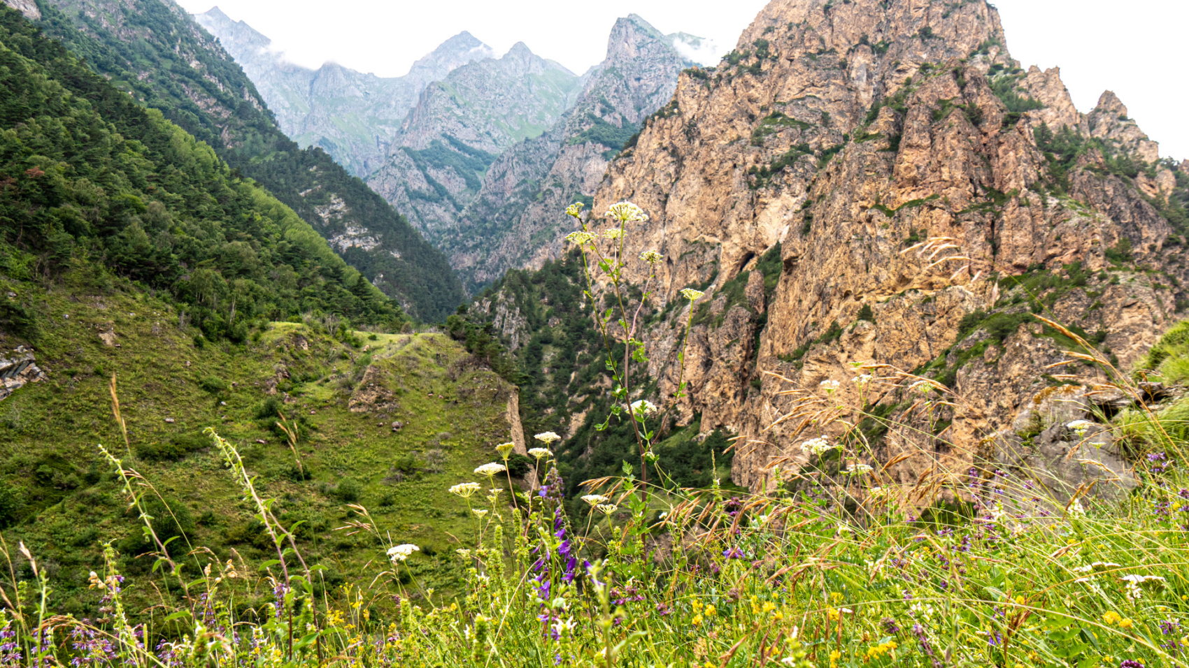 Йога для новичков в уединенных горах Кавказа. Походы без рюкзаков в комфорте (66/103)