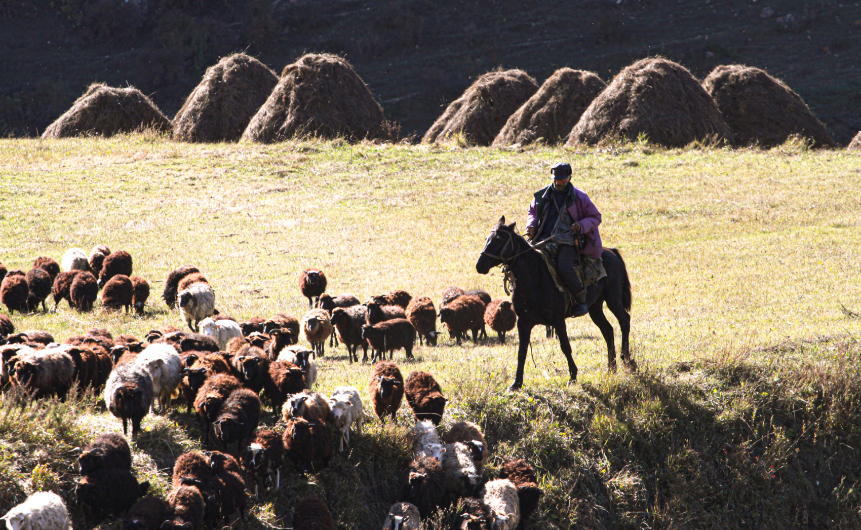 Йога для новичков в уединенных горах Кавказа. Походы без рюкзаков в комфорте (63/103)