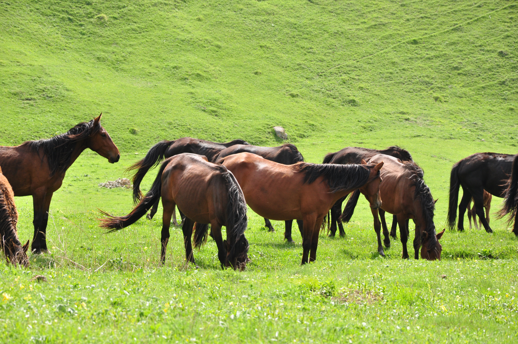 Йога для новичков в уединенных горах Кавказа. Походы без рюкзаков в комфорте (71/103)