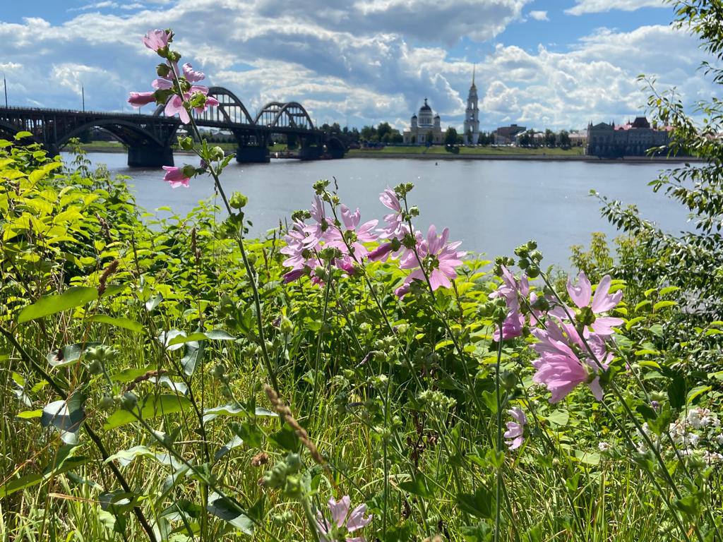 Иван Купала на Рыбинском море (18/29)