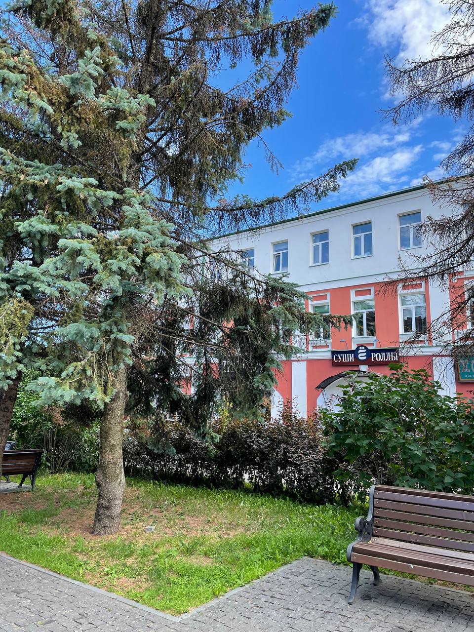 Иван Купала на Рыбинском море (22/29)