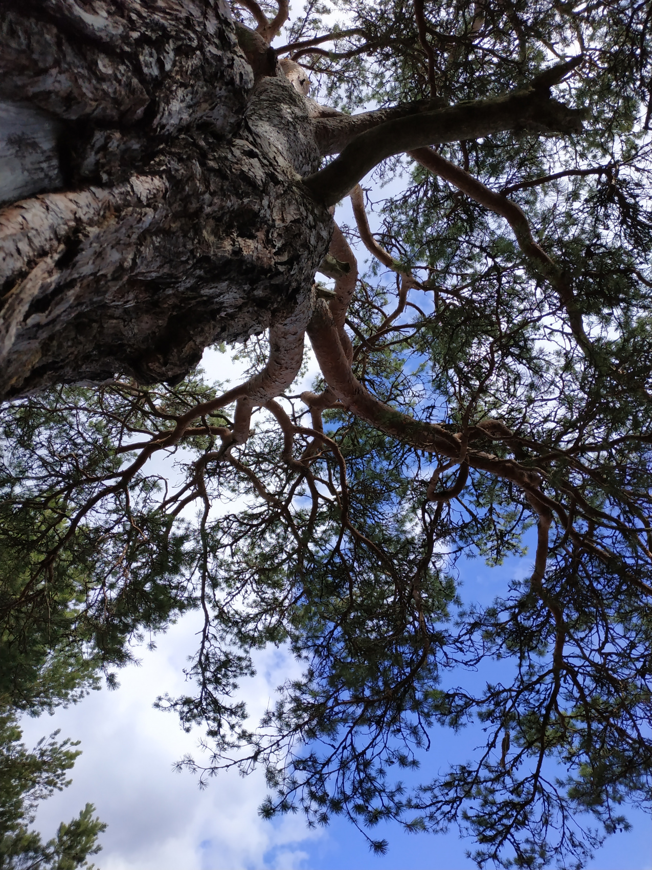 Ладожские выходные) (11/34)