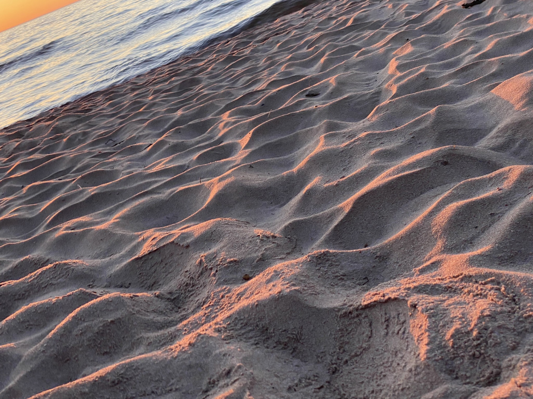 Ладожские выходные) (17/34)