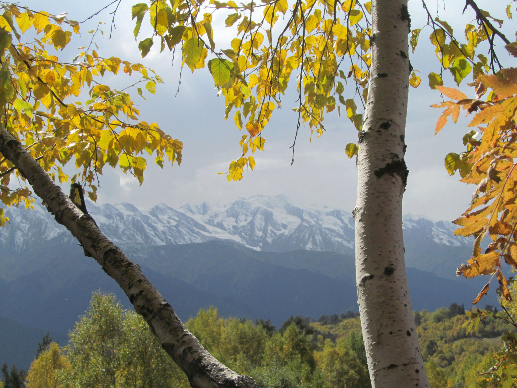 Большое путешествие по Грузии (10 дней) (16/52)