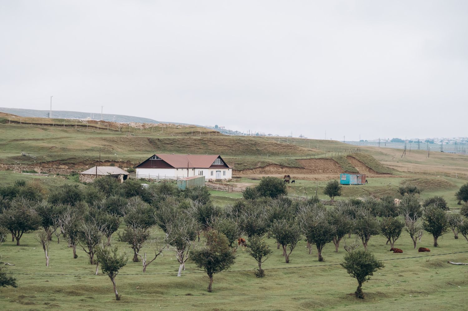 Горы Дагестана с комфортом, где все включено! (33/75)