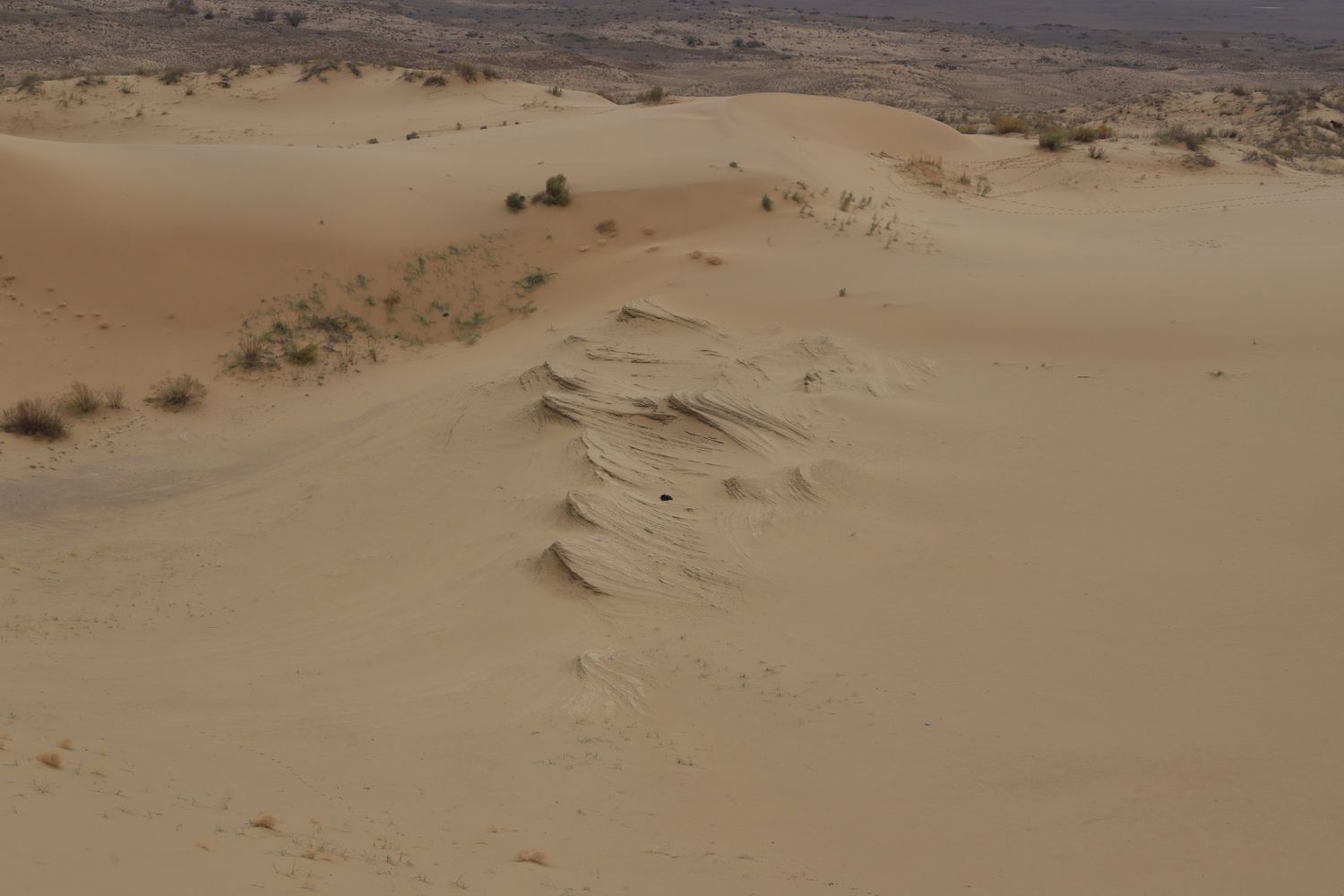 Сердце Дагестана с комфортом за 6 дней (64/113)