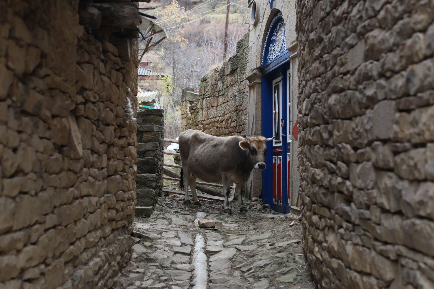 Сердце Дагестана с комфортом за 6 дней (86/113)