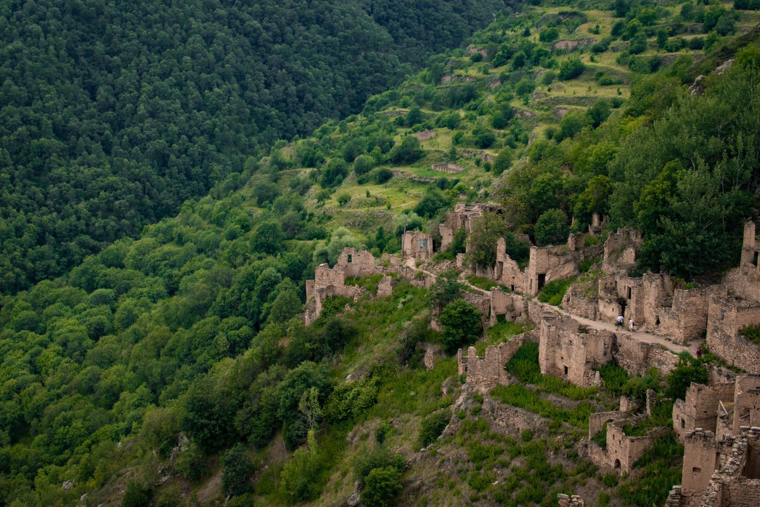 Сердце Дагестана с комфортом за 6 дней (15/113)