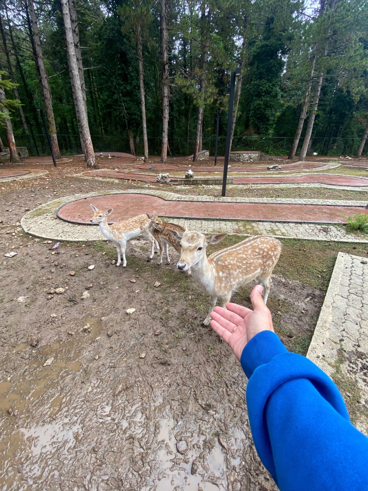 Балканский трип - 3 страны на Максималках (62/62)