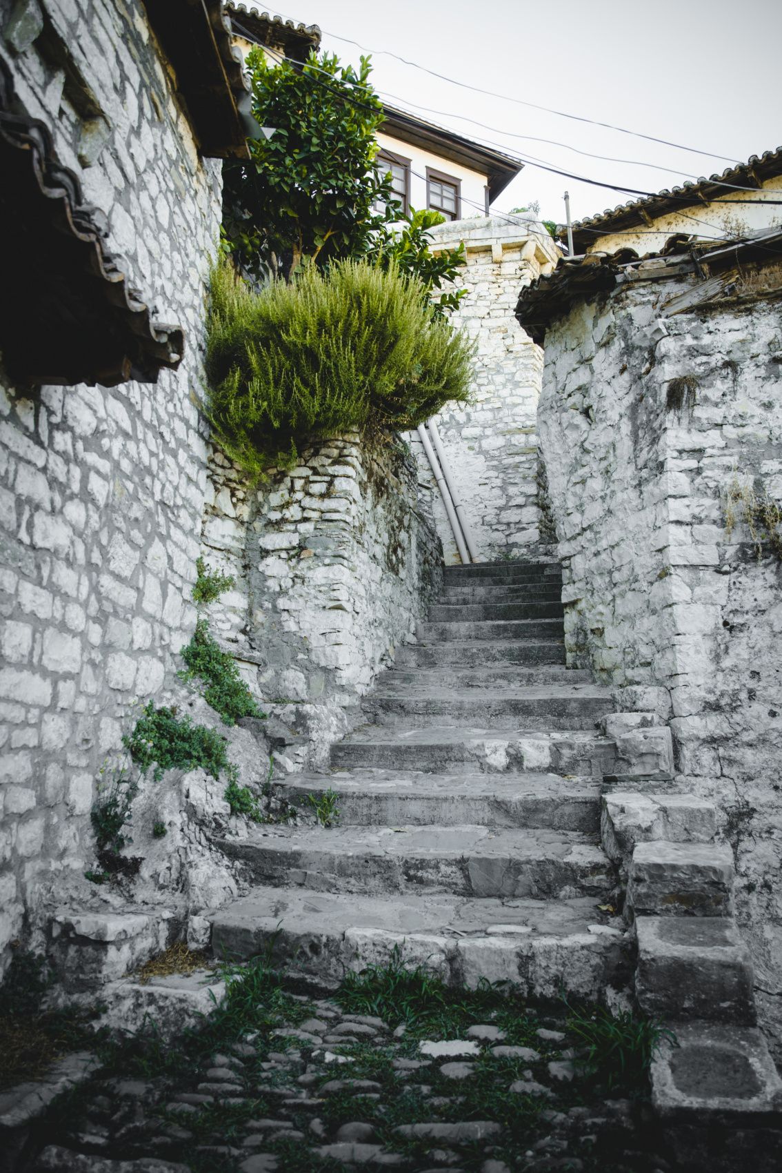 Балканский трип - 3 страны на Максималках (20/62)