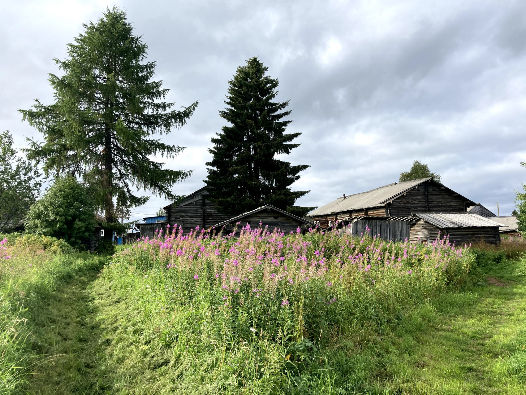Мезень. Жилая вода (27/90)