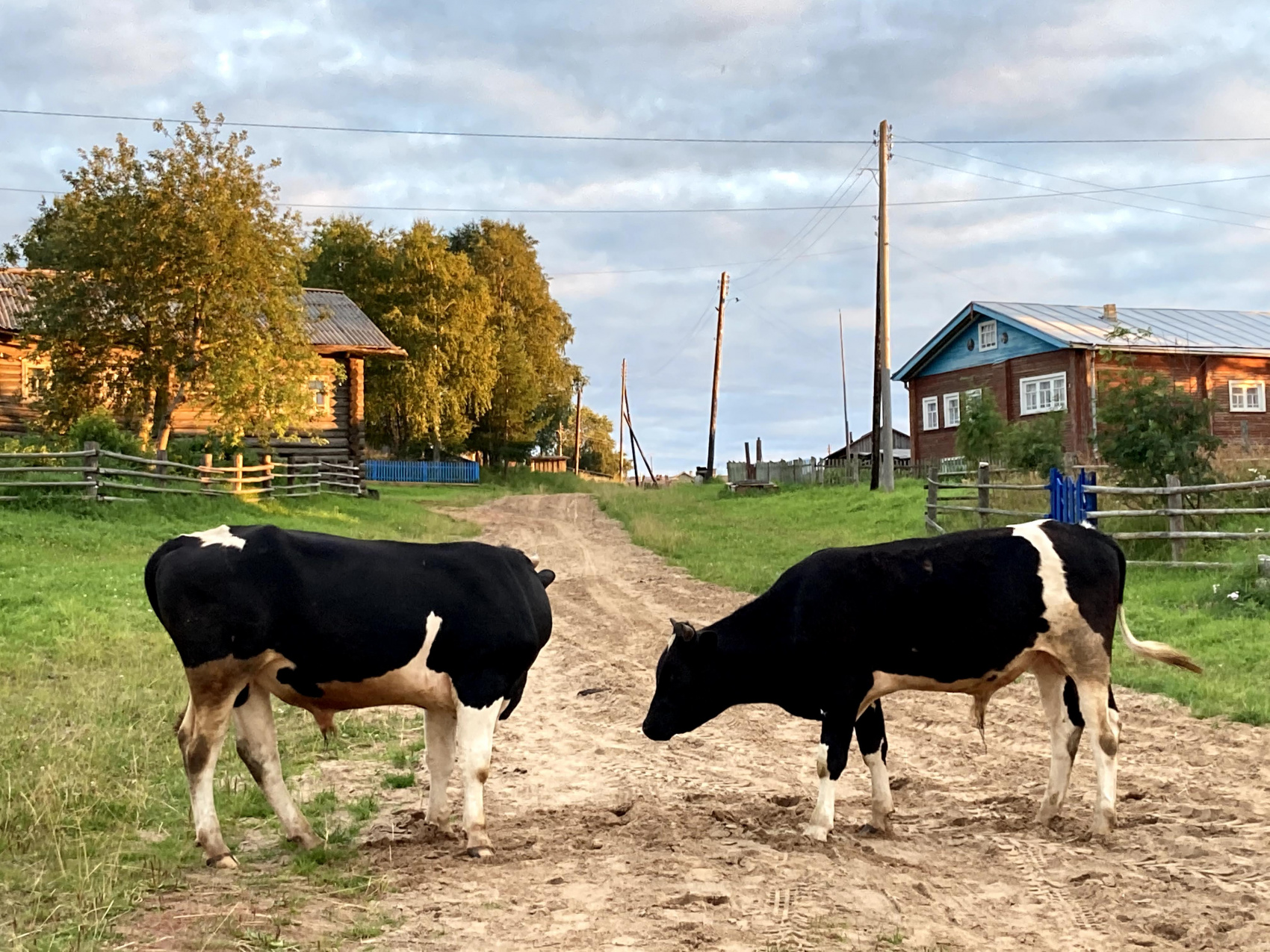 Мезень. Жилая вода (37/90)