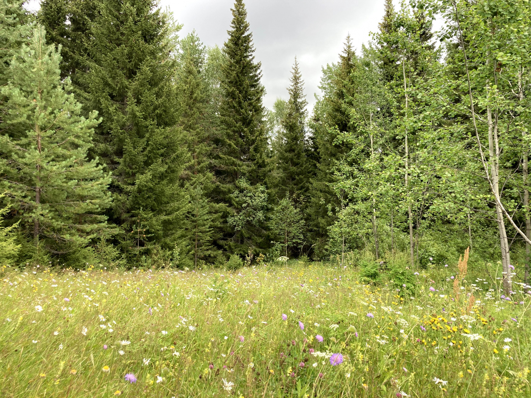 Мезень. Жилая вода (10/90)