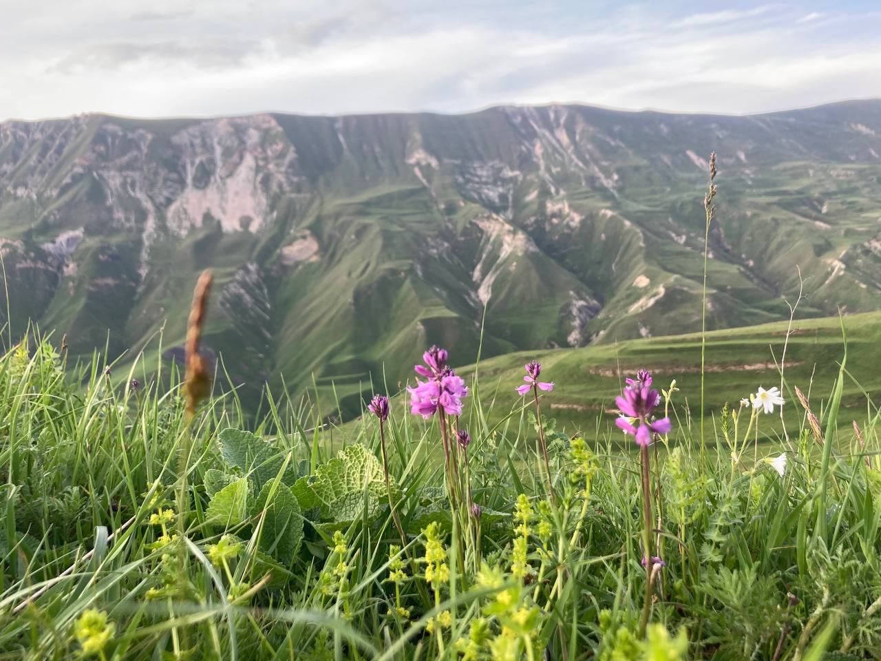 Перезагрузка в горах Дагестана на 100% за 3 дня. С комфортом. (35/55)