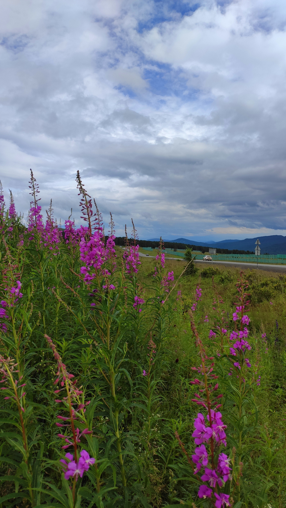 Весь Горный Алтай и красивейшая дорога России (39/51)
