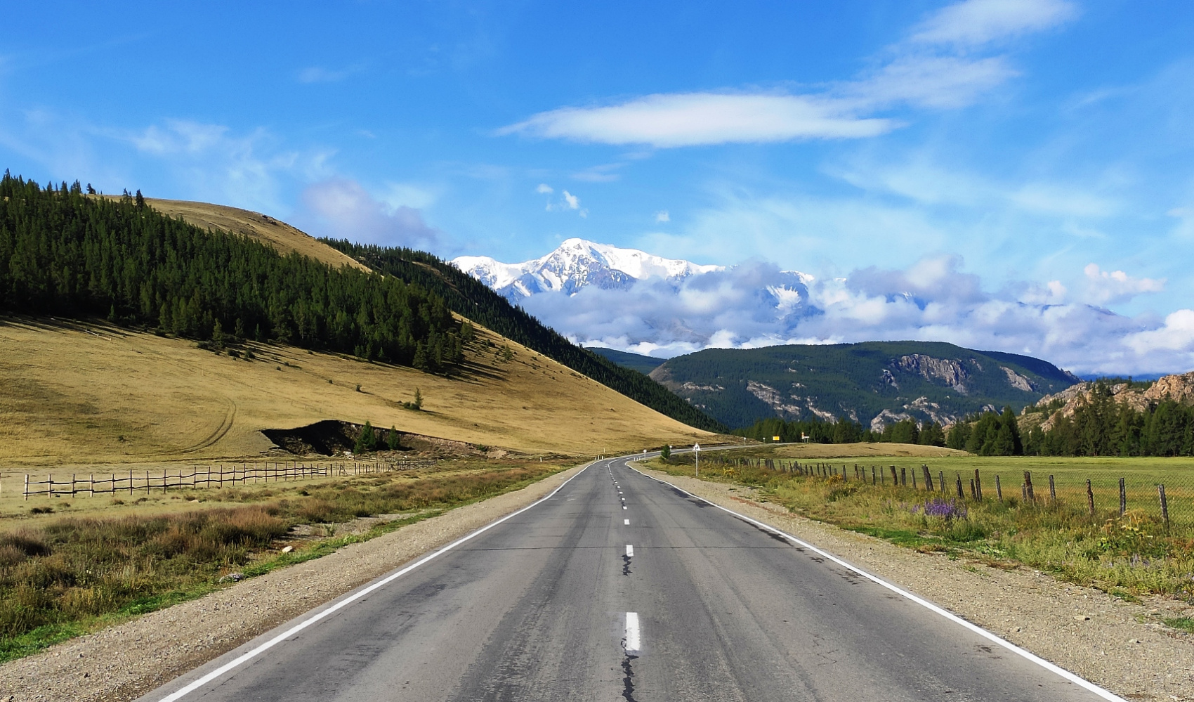 Весь Горный Алтай и красивейшая дорога России (15/51)
