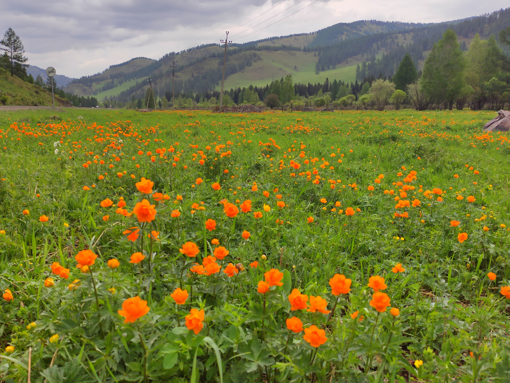 Весь Горный Алтай и красивейшая дорога России (19/51)
