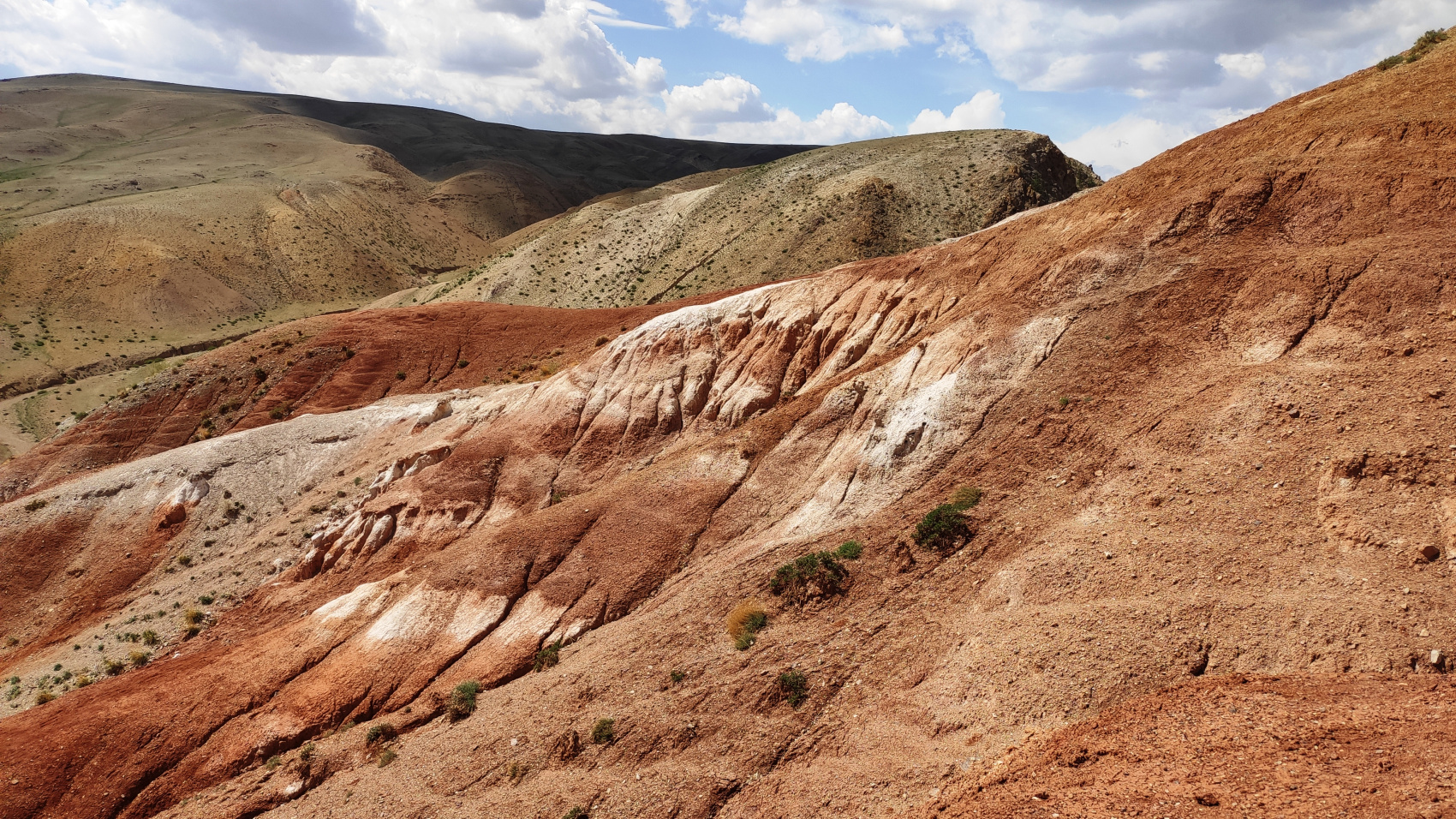 Весь Горный Алтай и красивейшая дорога России (28/51)