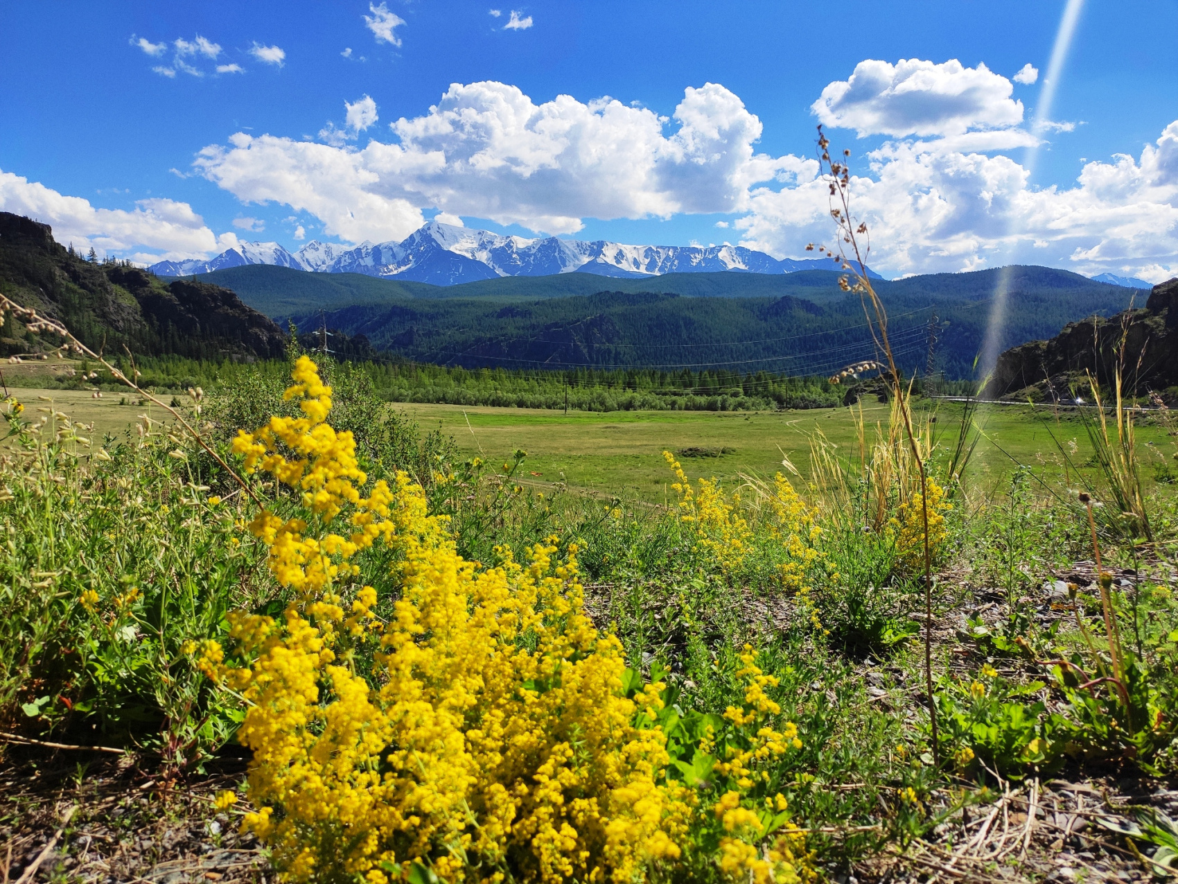 Весь Горный Алтай и красивейшая дорога России (14/51)