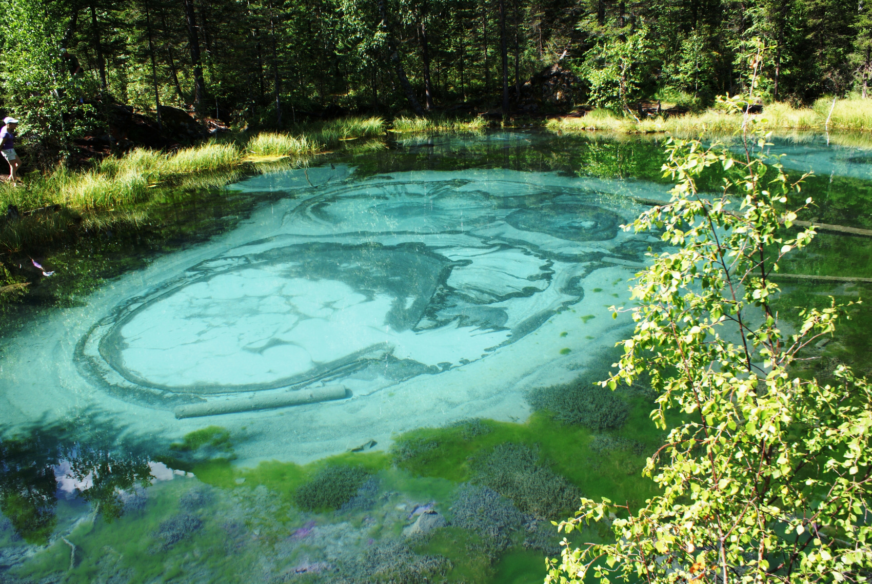 Весь Горный Алтай и красивейшая дорога России (9/51)