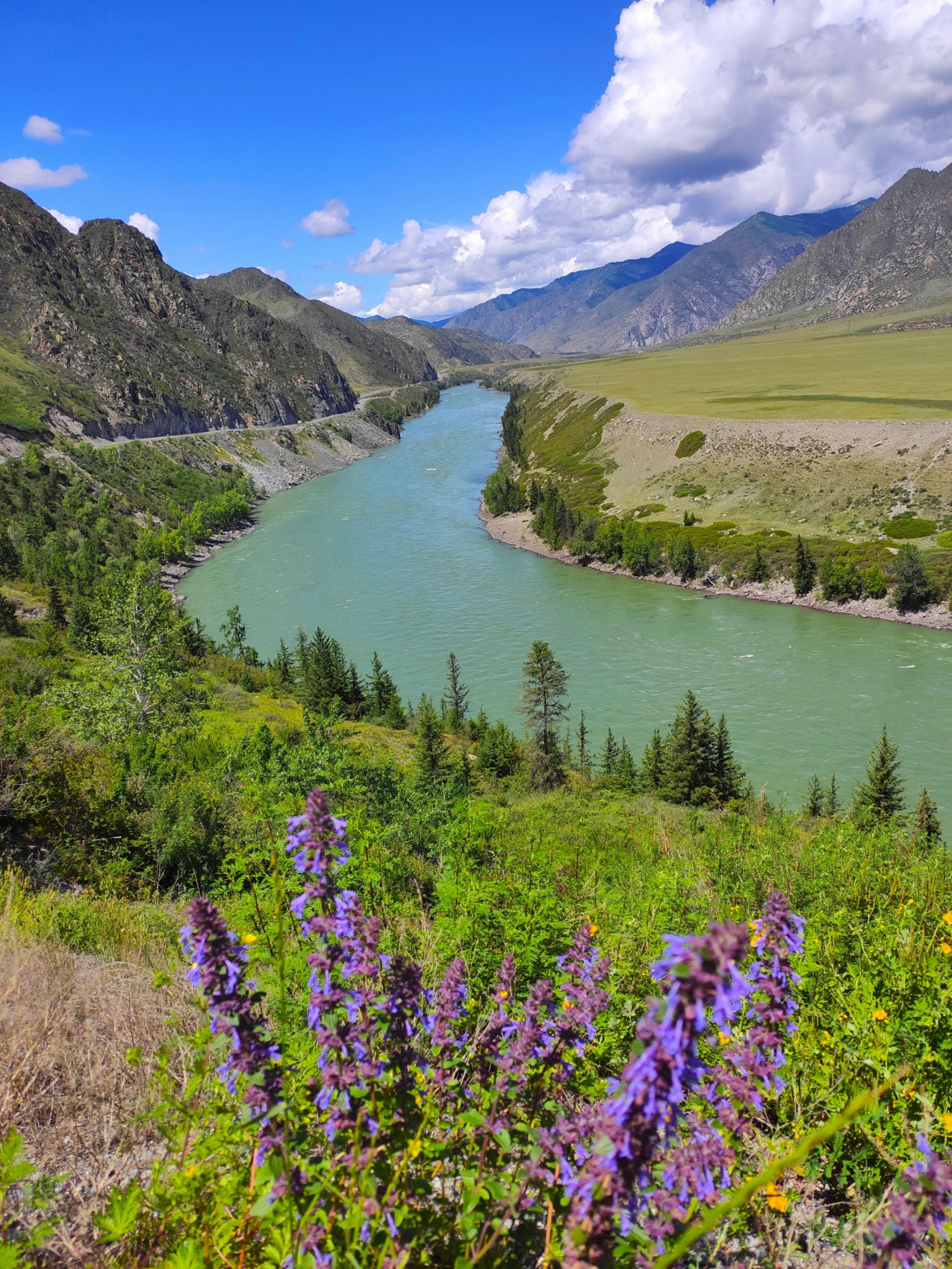 Весь Горный Алтай и красивейшая дорога России (4/51)