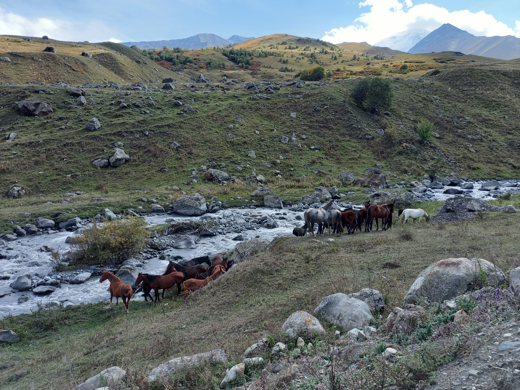 Weekend в Осетии (11/34)