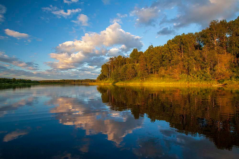 НижнеСвирский заповедник. Экологический тур.