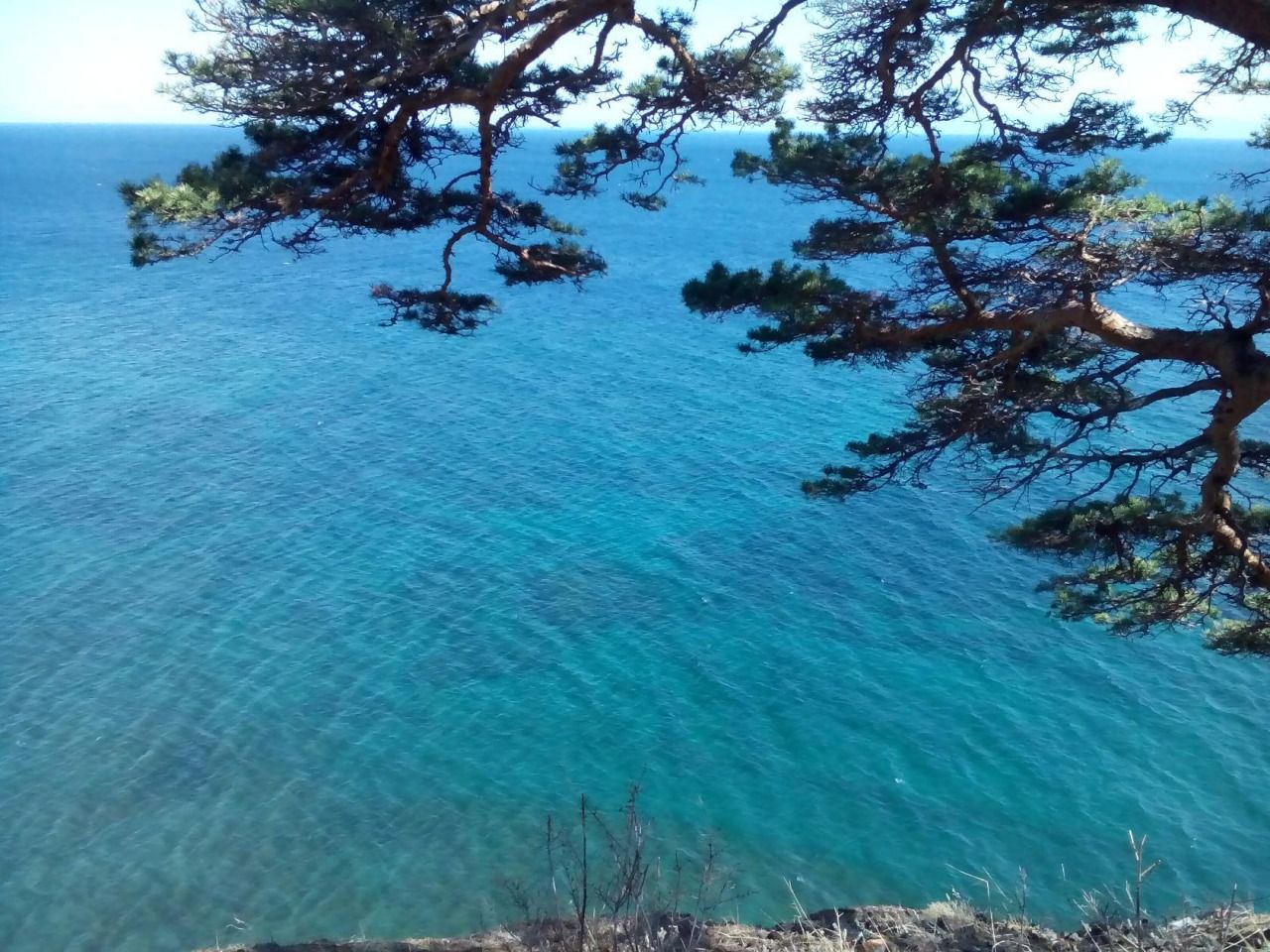 Авторская программа Магия Цветение Багульника На Байкале. Суперкомфорт. (39/72)