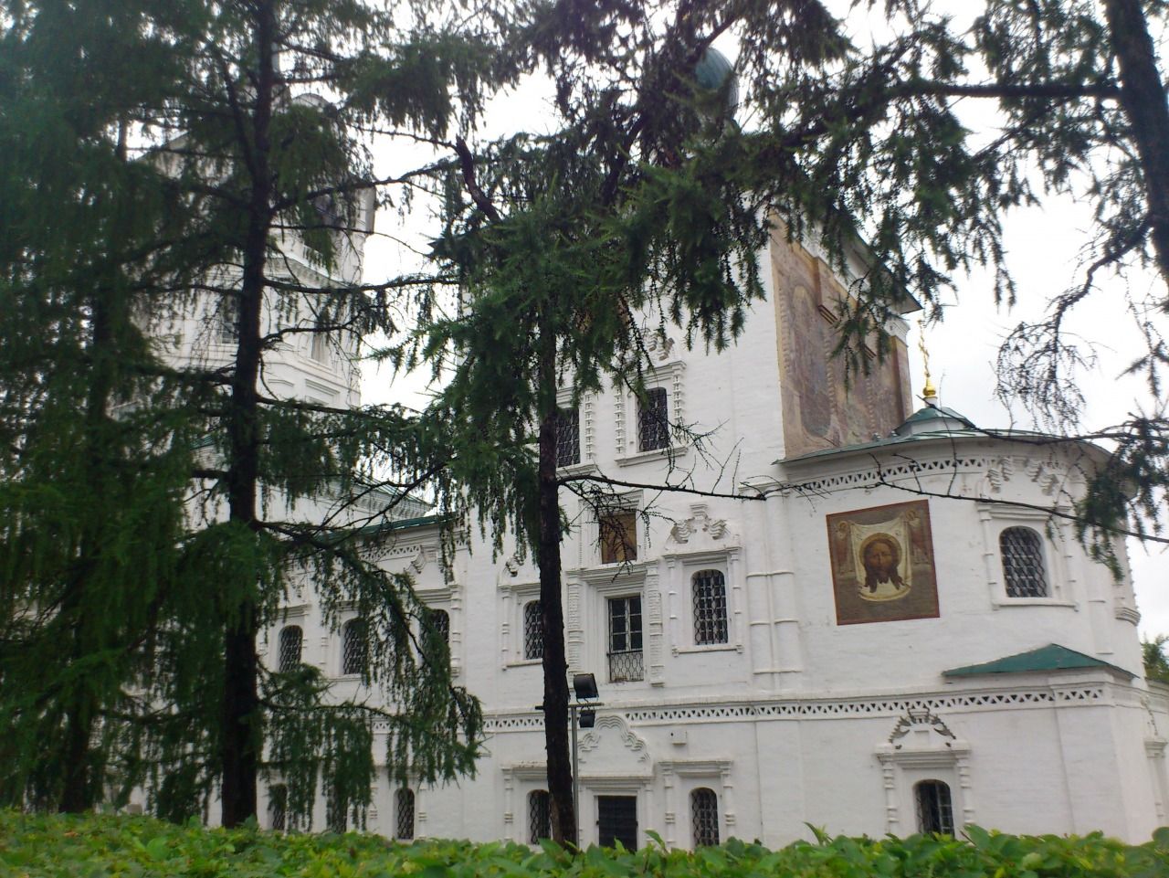 Авторская программа Магия Цветение Багульника На Байкале. Суперкомфорт. (57/72)