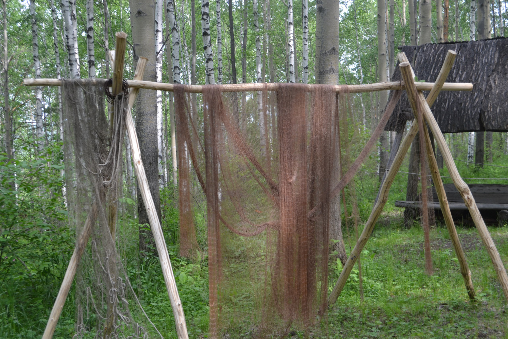 Байкальское Кругосветное Путешествие. Самый Насыщенный Тур по Байкалу. (65/113)