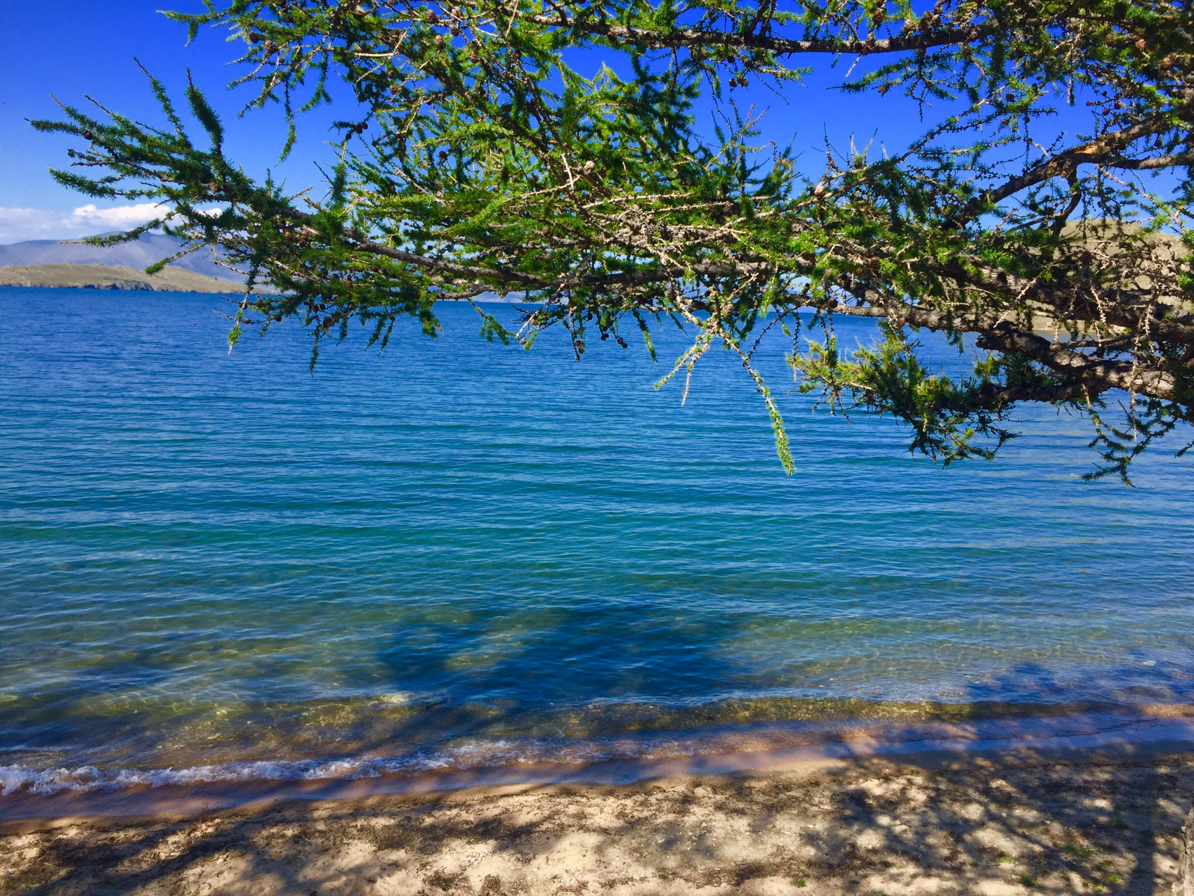Легенды суперхитов Байкала (комфорт): Аршан, Листвянка, Кбжд и Иркутск (2/86)