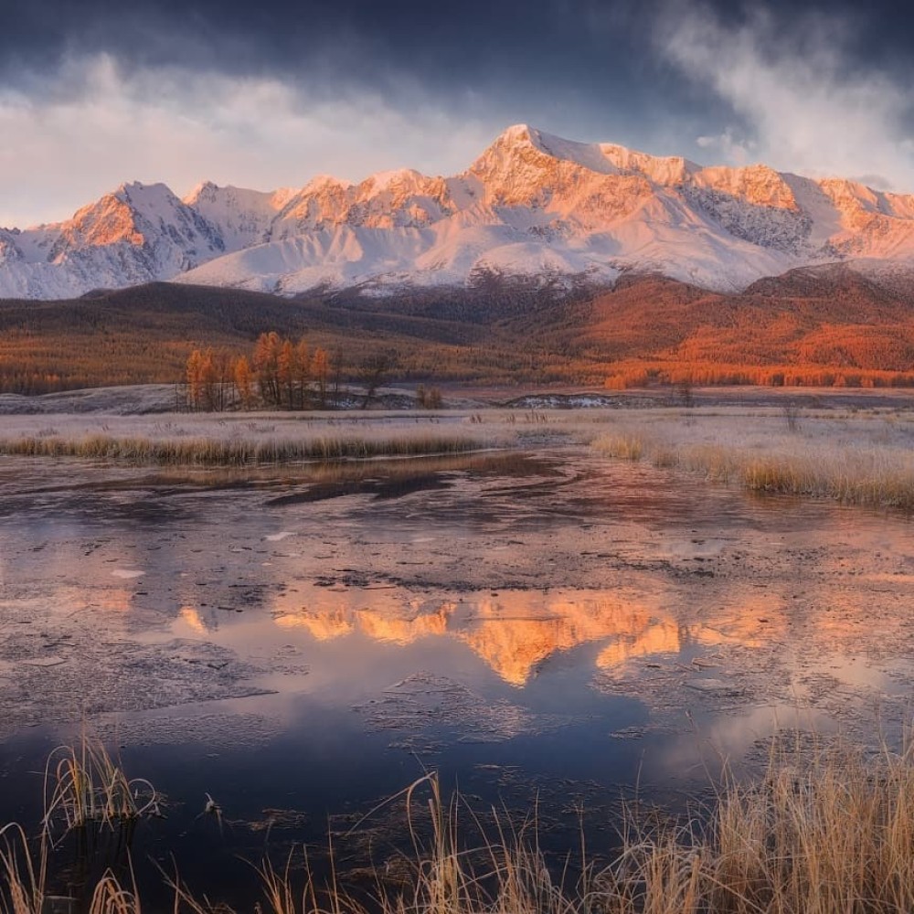 Сердце Горного Алтая: до Монголии и обратно (53/82)