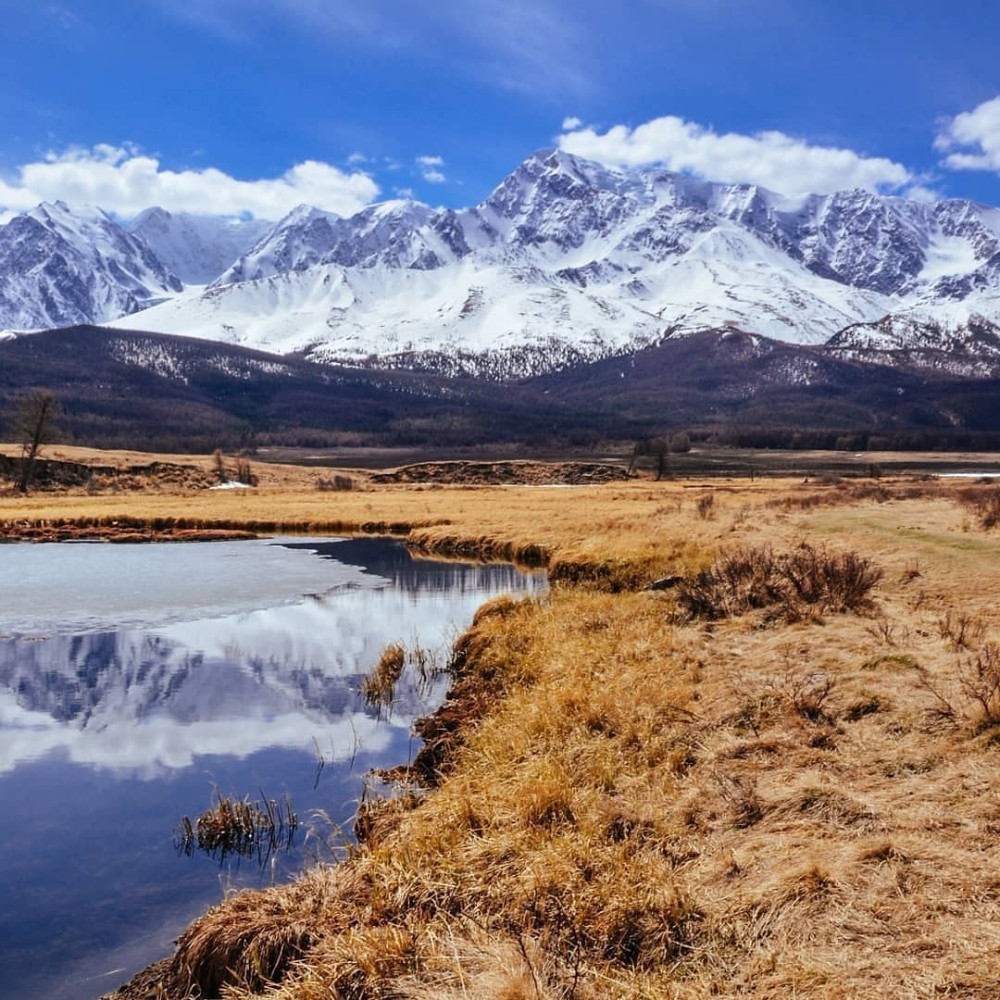 Сердце Горного Алтая: до Монголии и обратно (4/82)