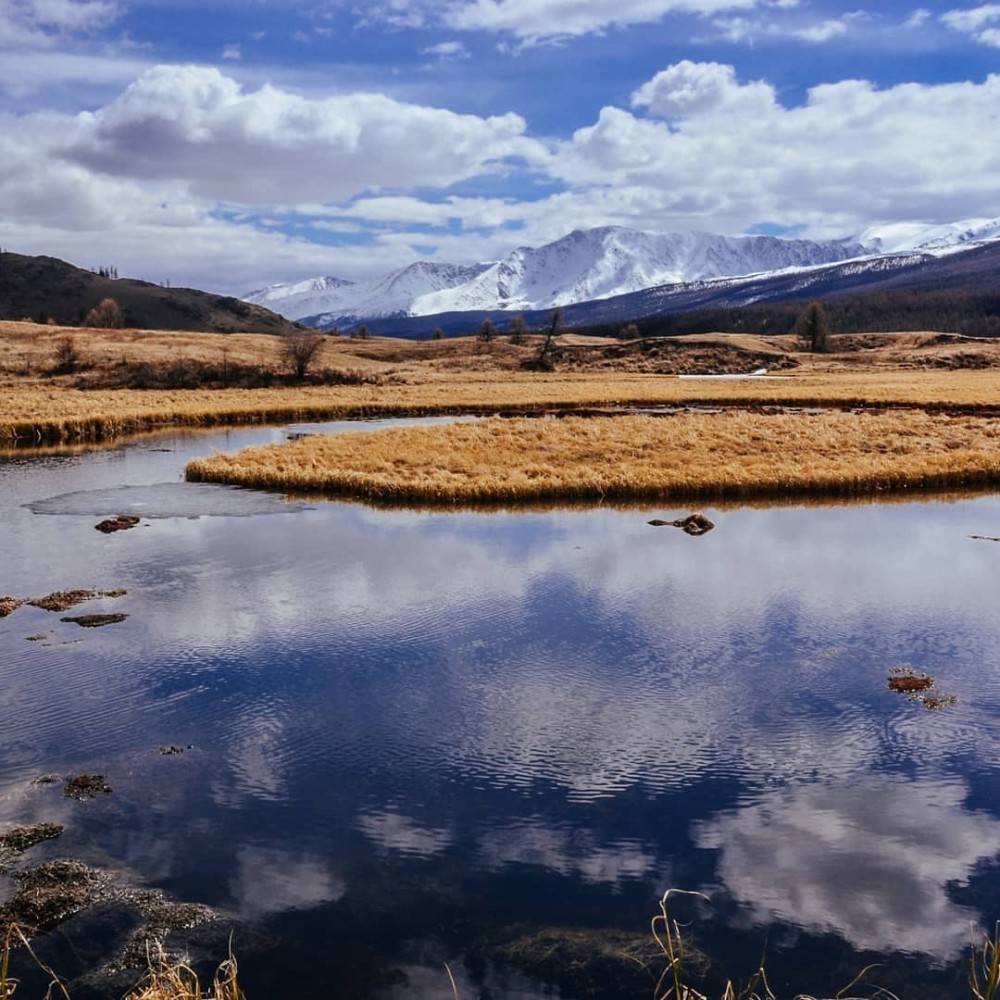 Сердце Горного Алтая: до Монголии и обратно (55/82)