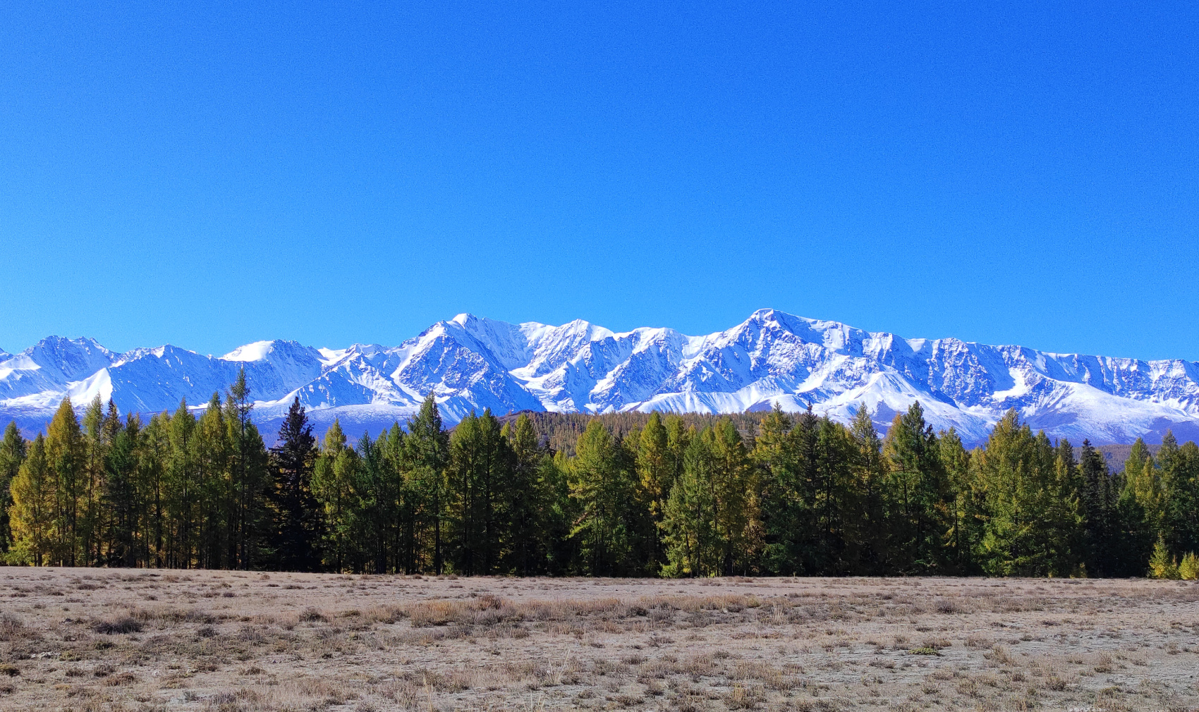Сердце Горного Алтая: до Монголии и обратно (65/82)