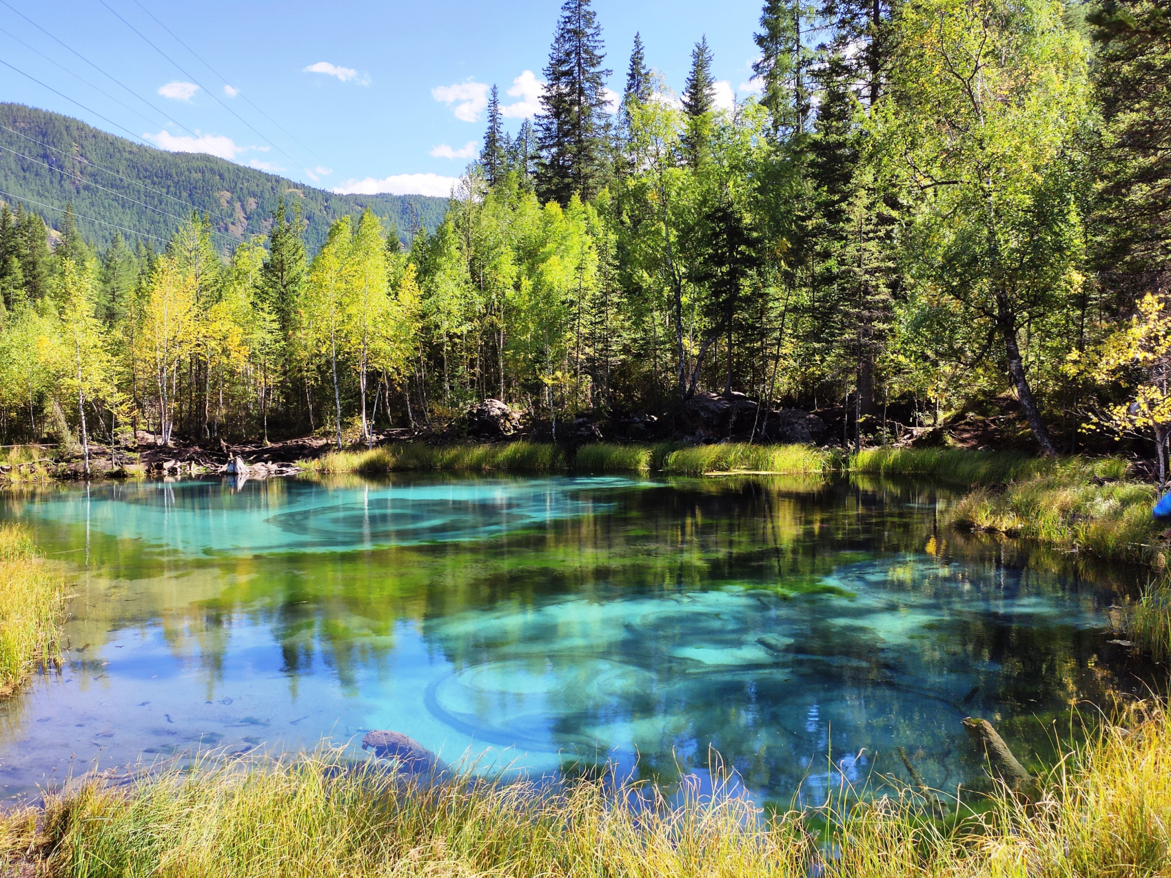 Сердце Горного Алтая: до Монголии и обратно (6/82)