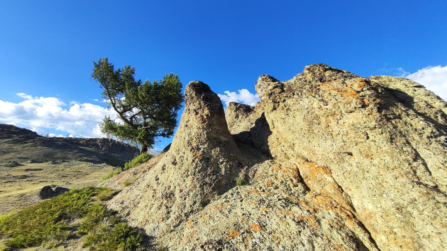 Сердце Горного Алтая: до Монголии и обратно (58/82)