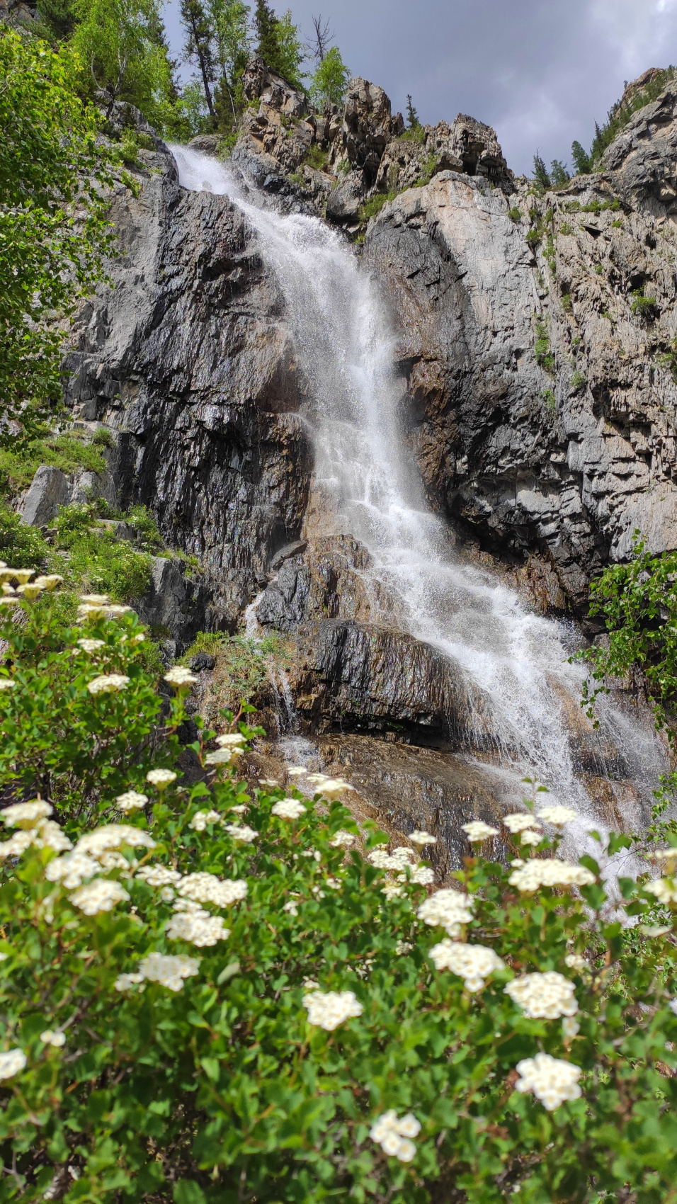 Сердце Горного Алтая: до Монголии и обратно (42/82)