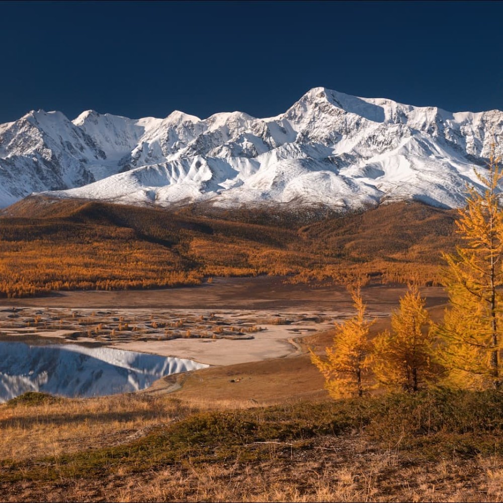 Сердце Горного Алтая: до Монголии и обратно (51/82)