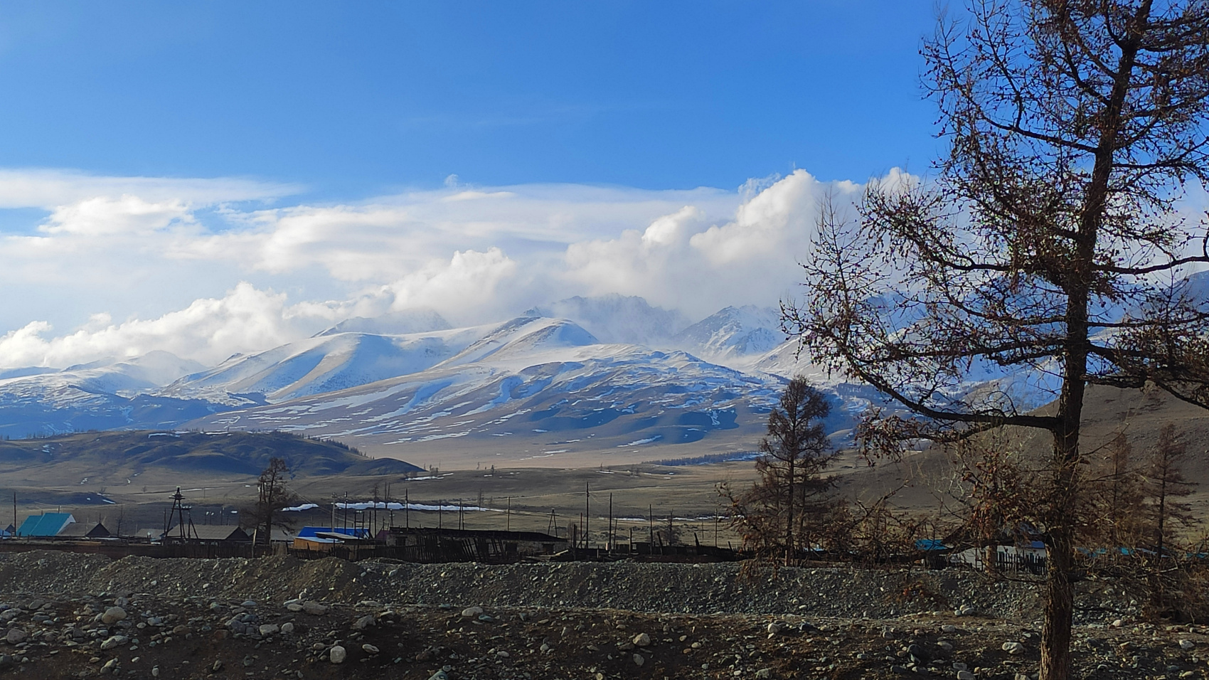 Сердце Горного Алтая: до Монголии и обратно (31/82)