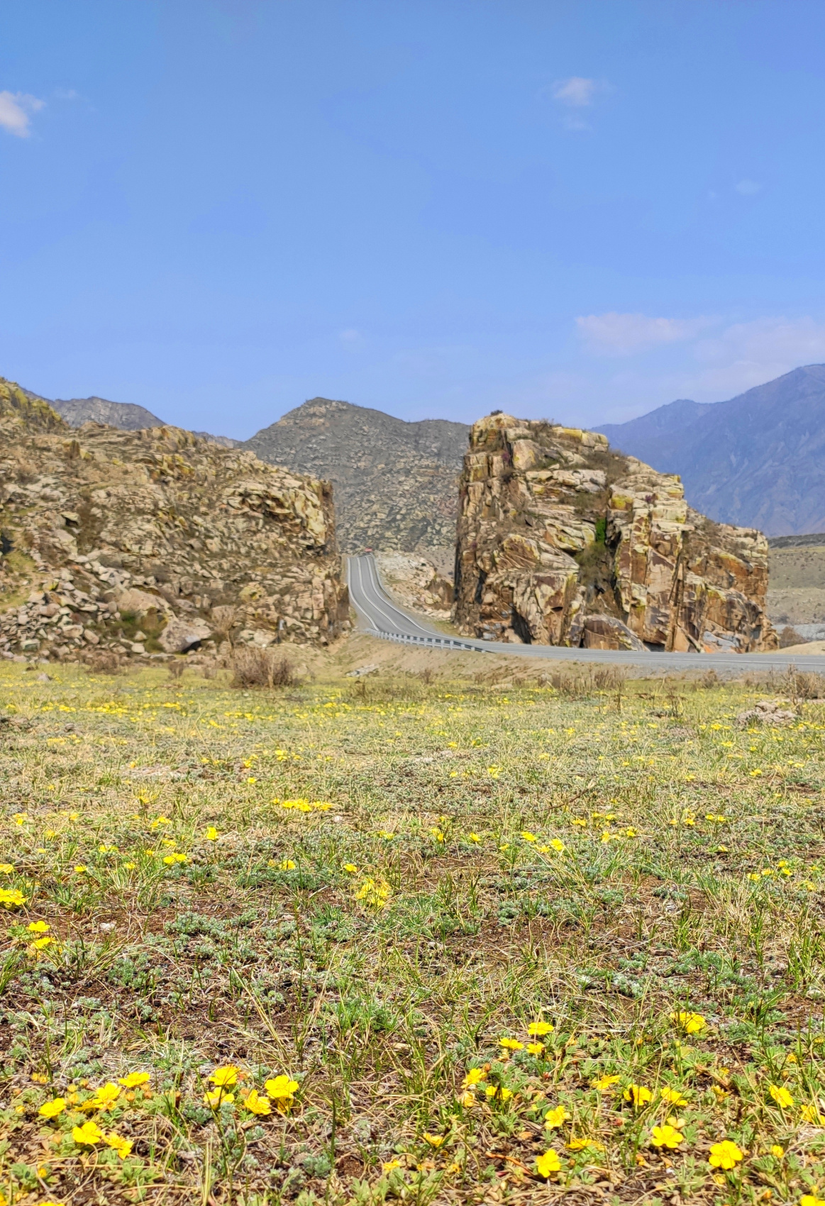 Сердце Горного Алтая: до Монголии и обратно (32/82)