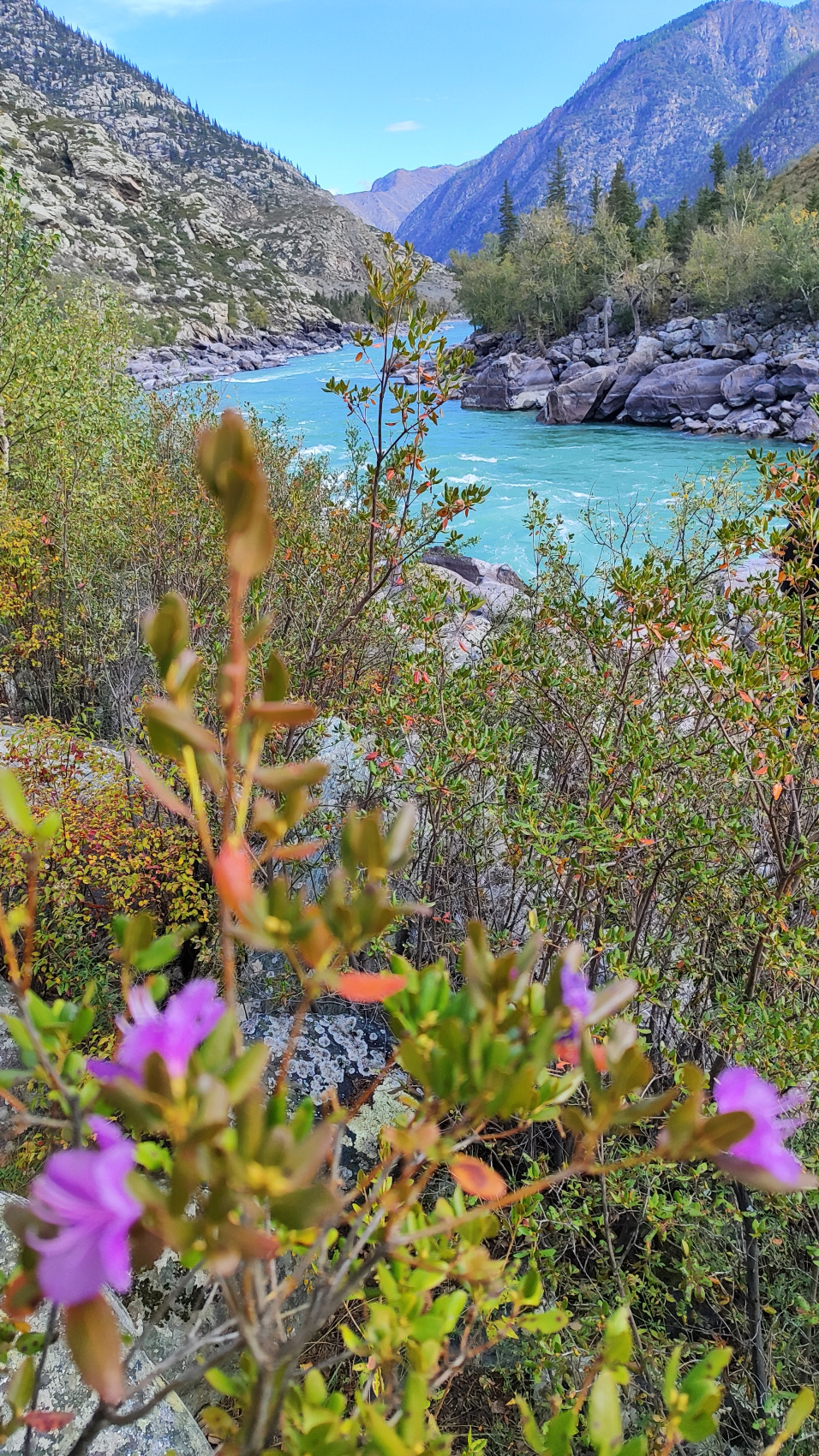 Сердце Горного Алтая: до Монголии и обратно (64/82)