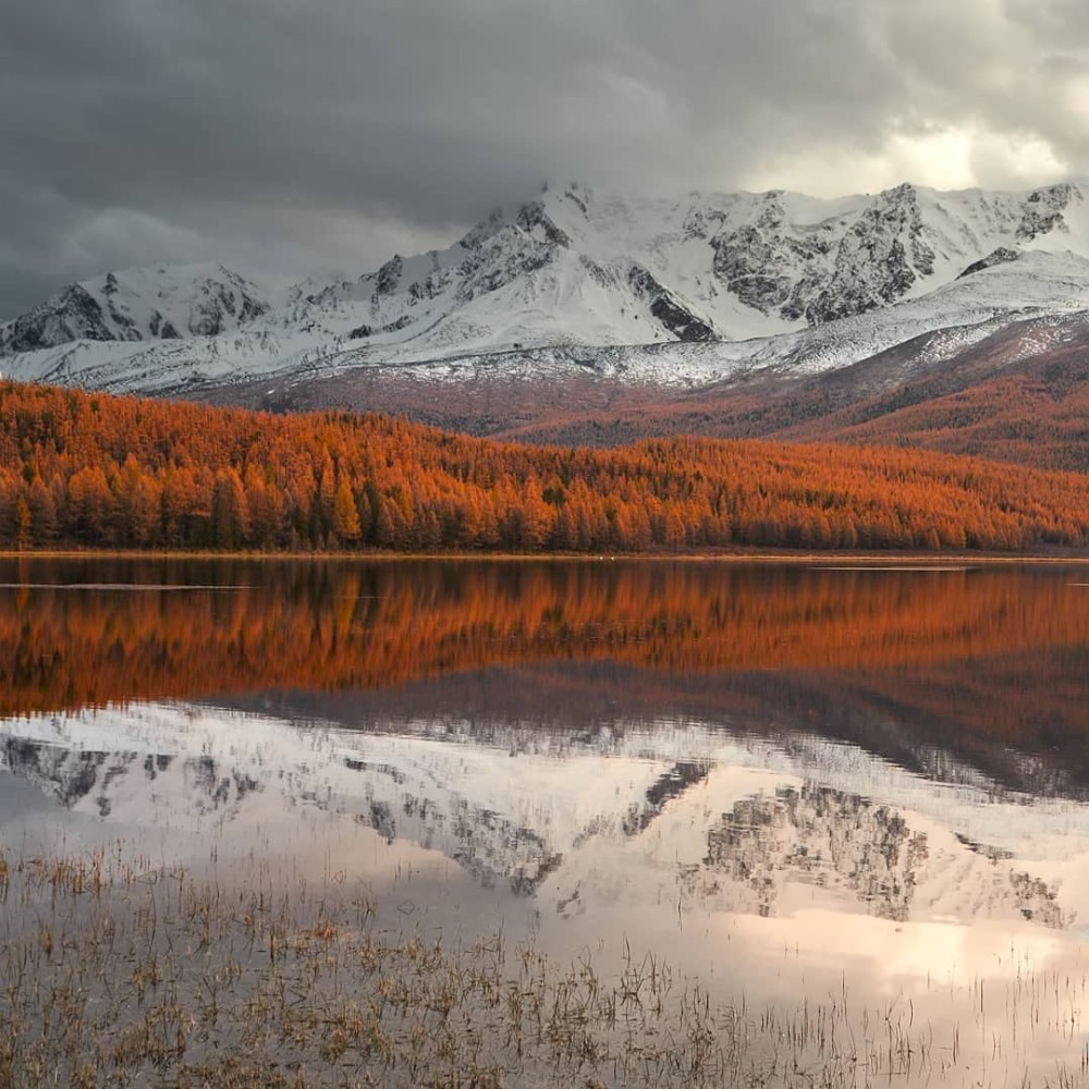 Сердце Горного Алтая: до Монголии и обратно (54/82)