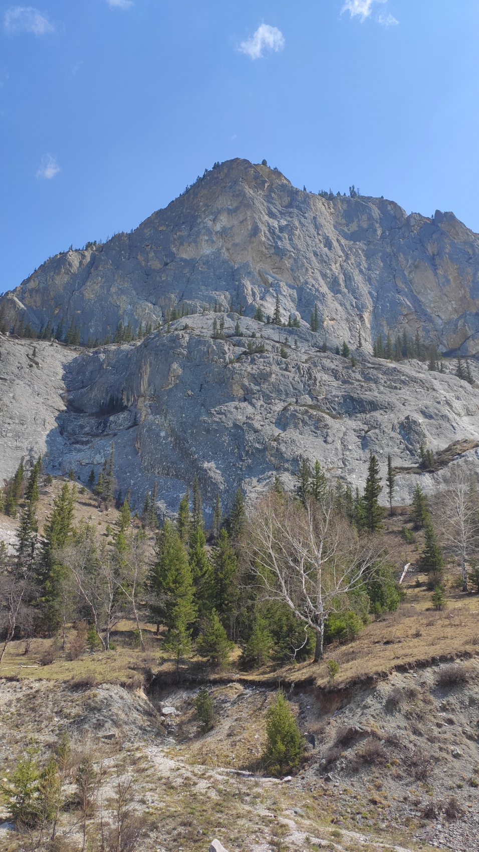 Сердце Горного Алтая: до Монголии и обратно (33/82)