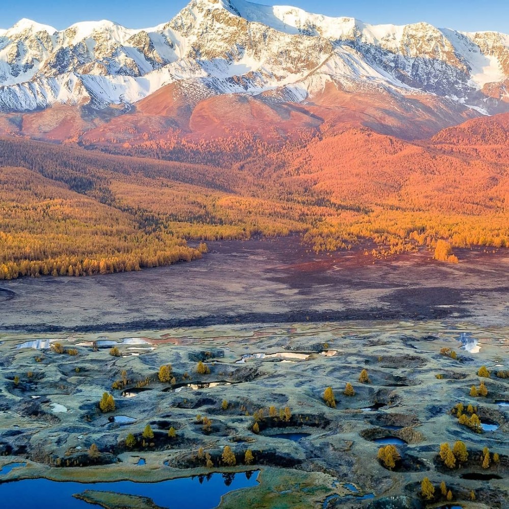 Сердце Горного Алтая: до Монголии и обратно (52/82)