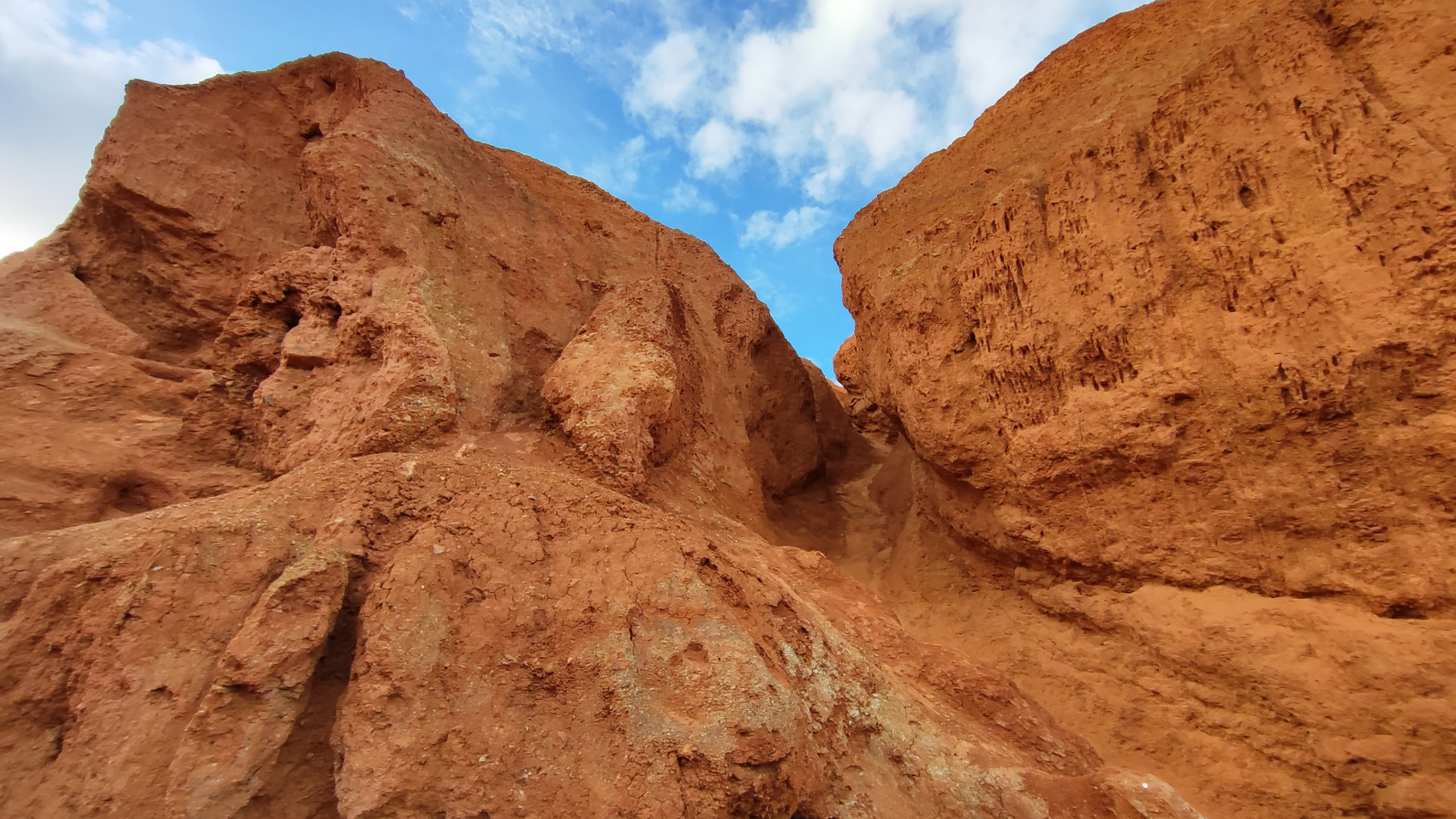 Сердце Горного Алтая: до Монголии и обратно (70/82)