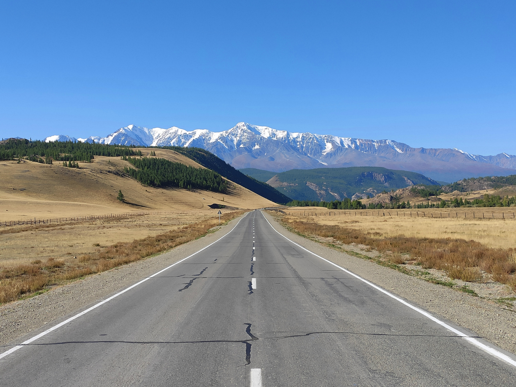 Сердце Горного Алтая: до Монголии и обратно (7/82)