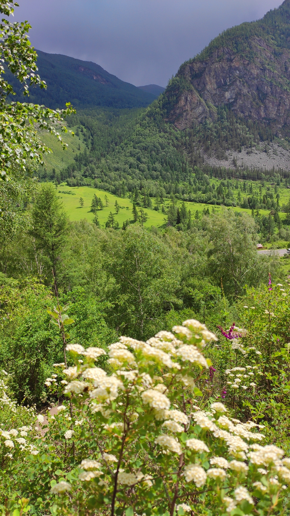 Сердце Горного Алтая: до Монголии и обратно (43/82)